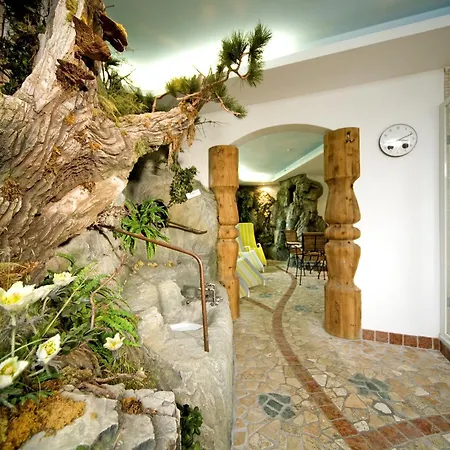Hotel Alpenrose Au (Vorarlberg)